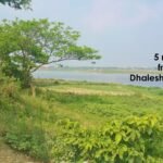 10 Bigha Land for Sale in Singair, #Manikganj / ১০ বিঘা জমি বিক্রি হবে সিংগাইর, #মানিকগঞ্জ Gallery Image