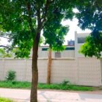 10 Bigha Land for Sale in Singair, #Manikganj / ১০ বিঘা জমি বিক্রি হবে সিংগাইর, #মানিকগঞ্জ Gallery Image